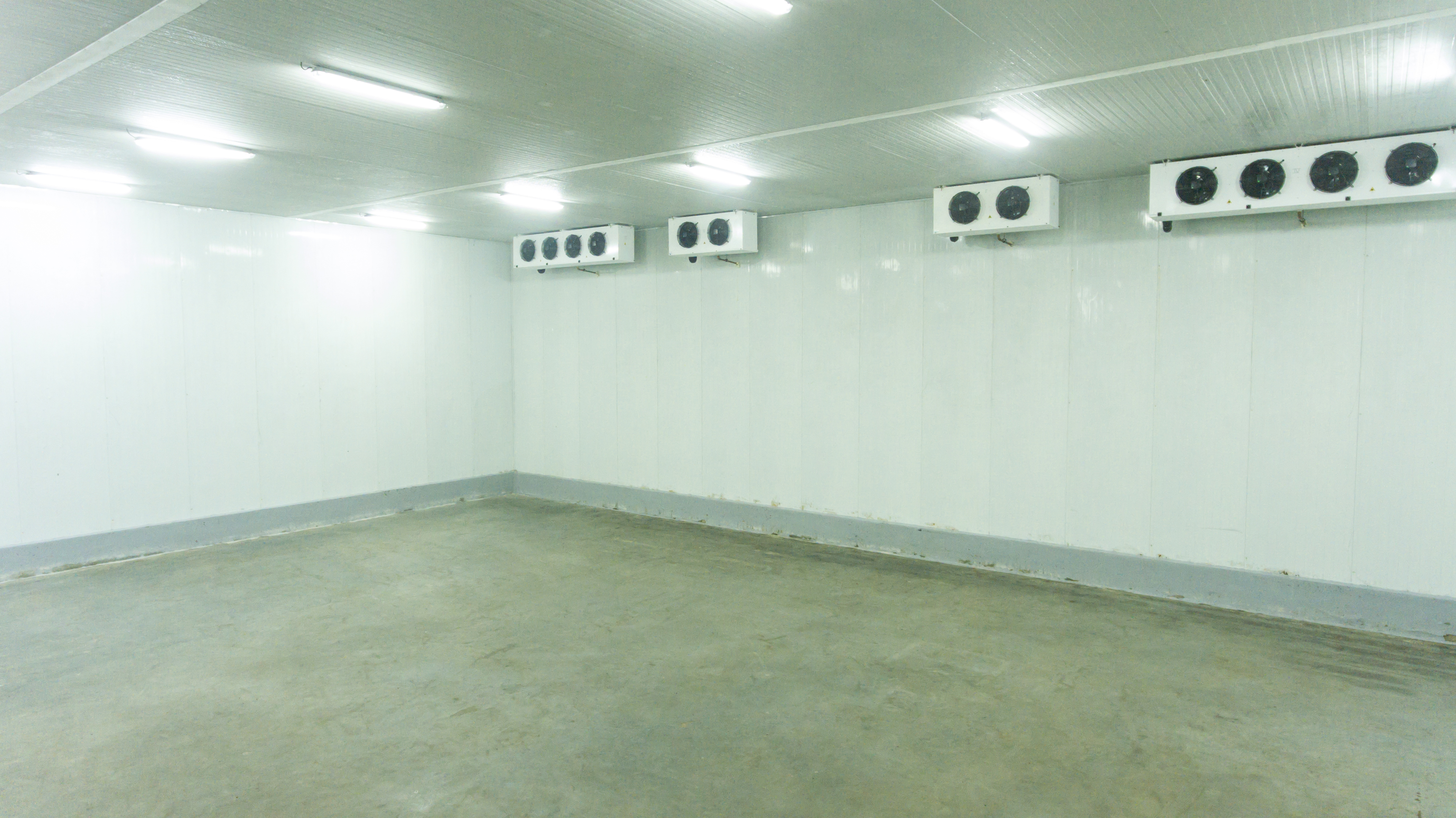 Rosex Gallery — cargo truck loaded (extra)