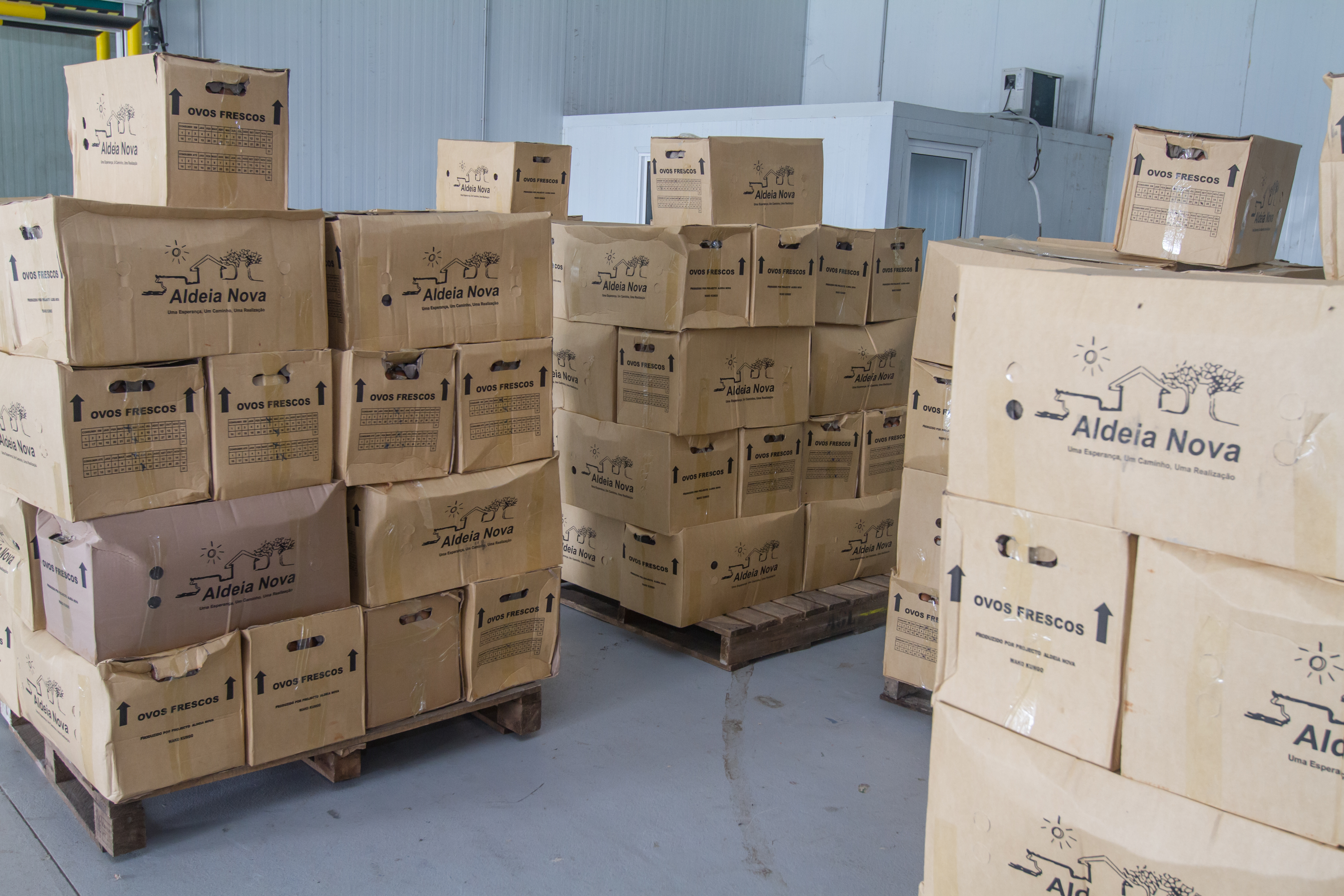 Rosex Gallery — forklift in warehouse