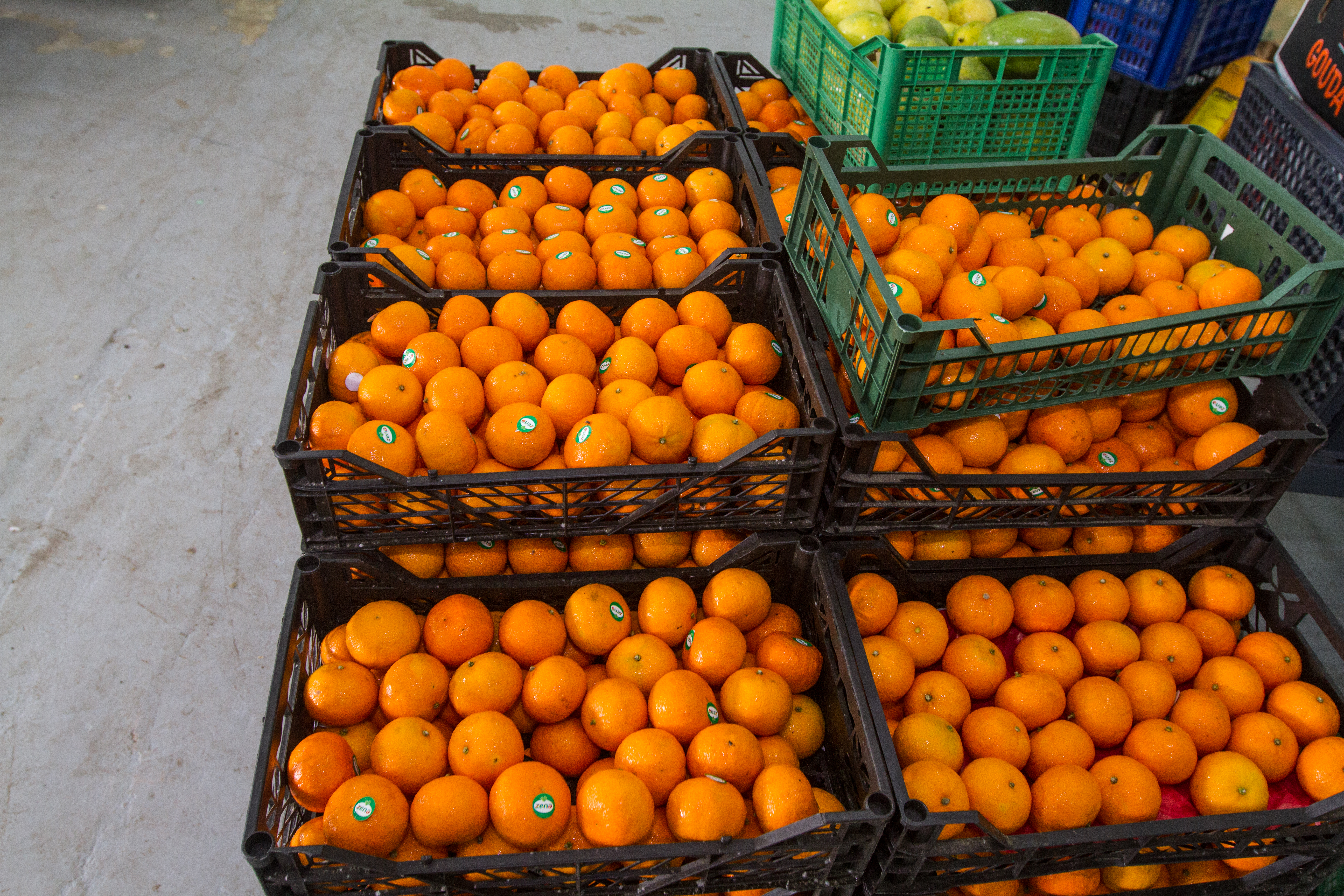 Rosex Gallery — refrigerated trucks