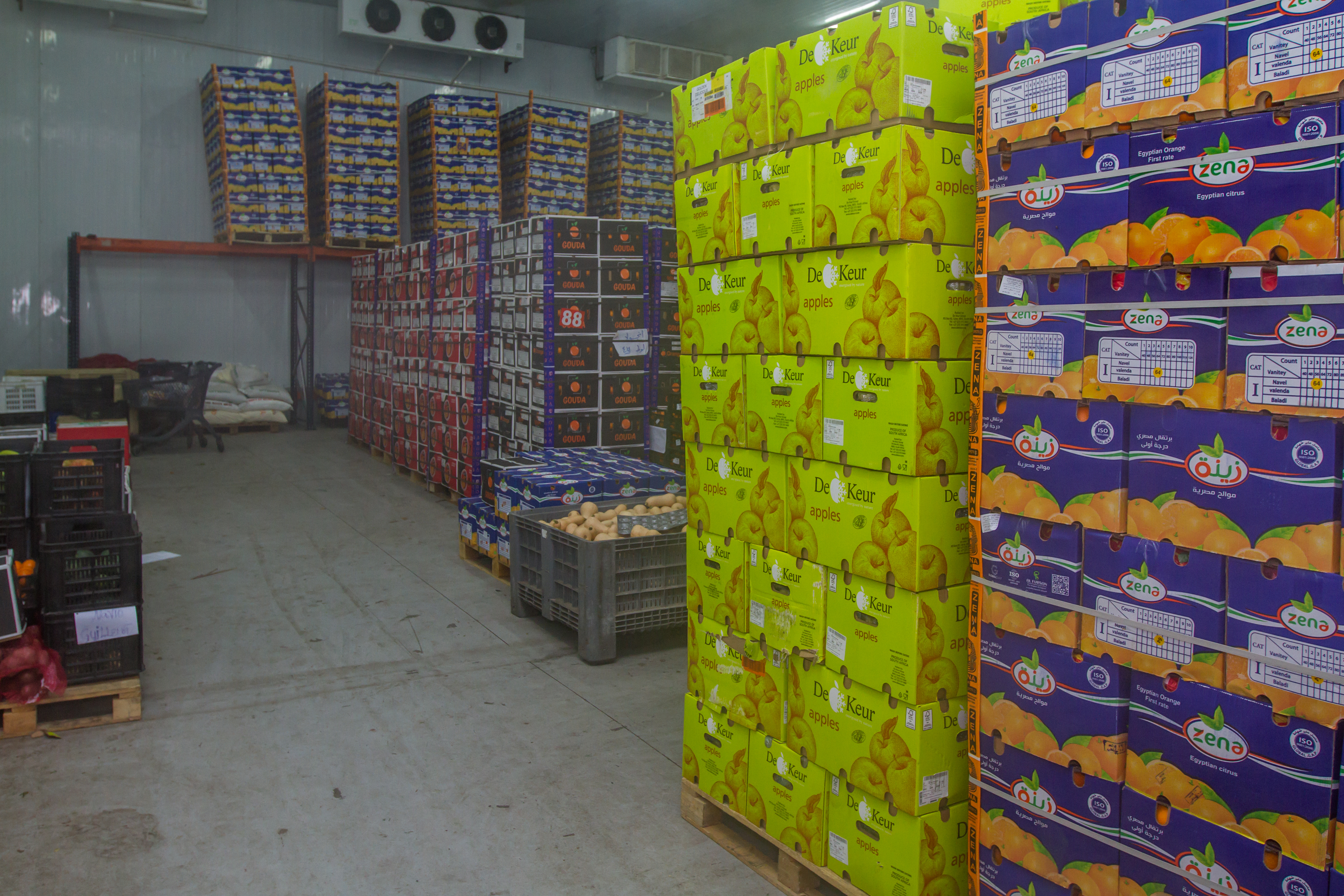 Rosex Gallery — cargo truck loaded