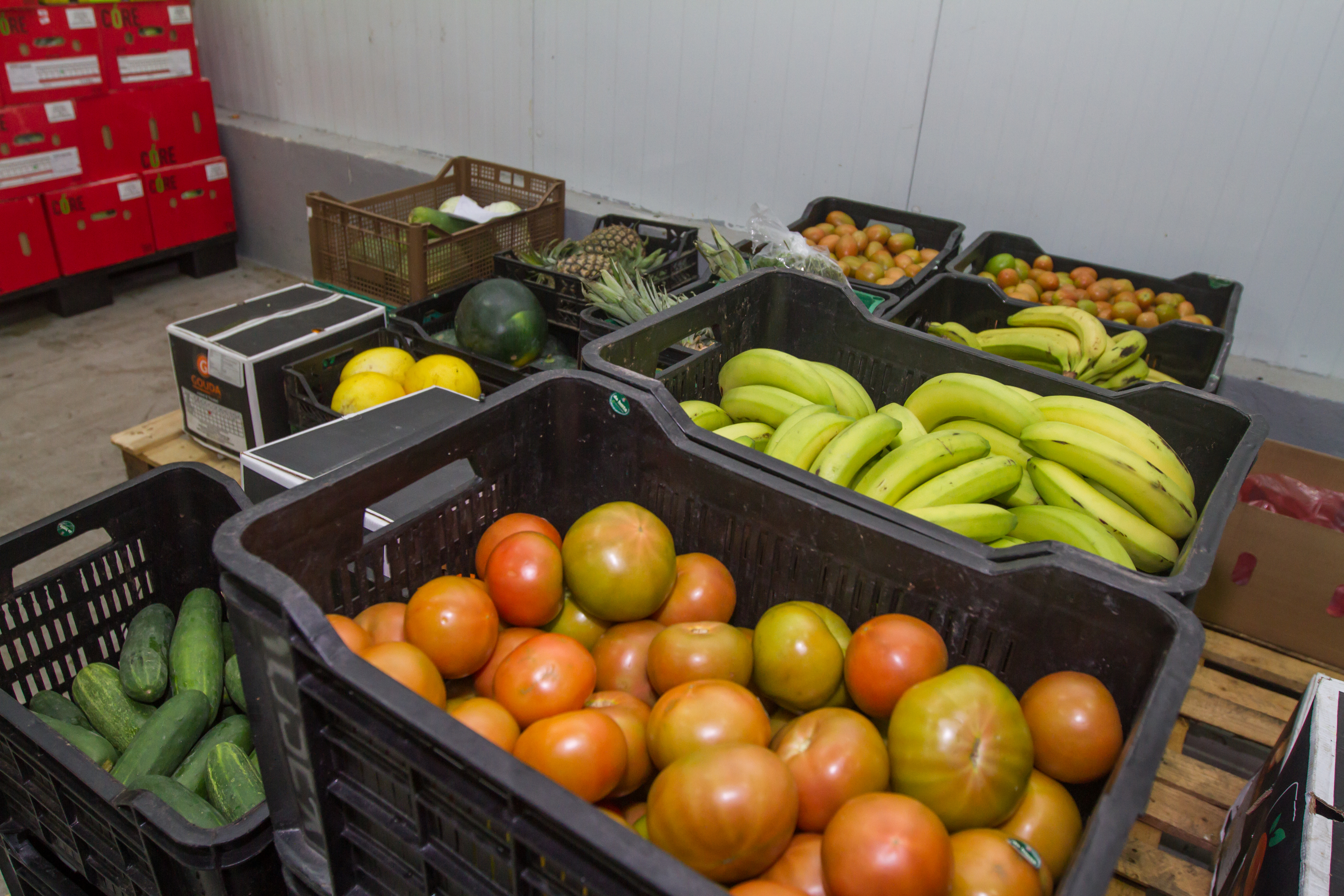 Rosex Gallery — warehouse crates
