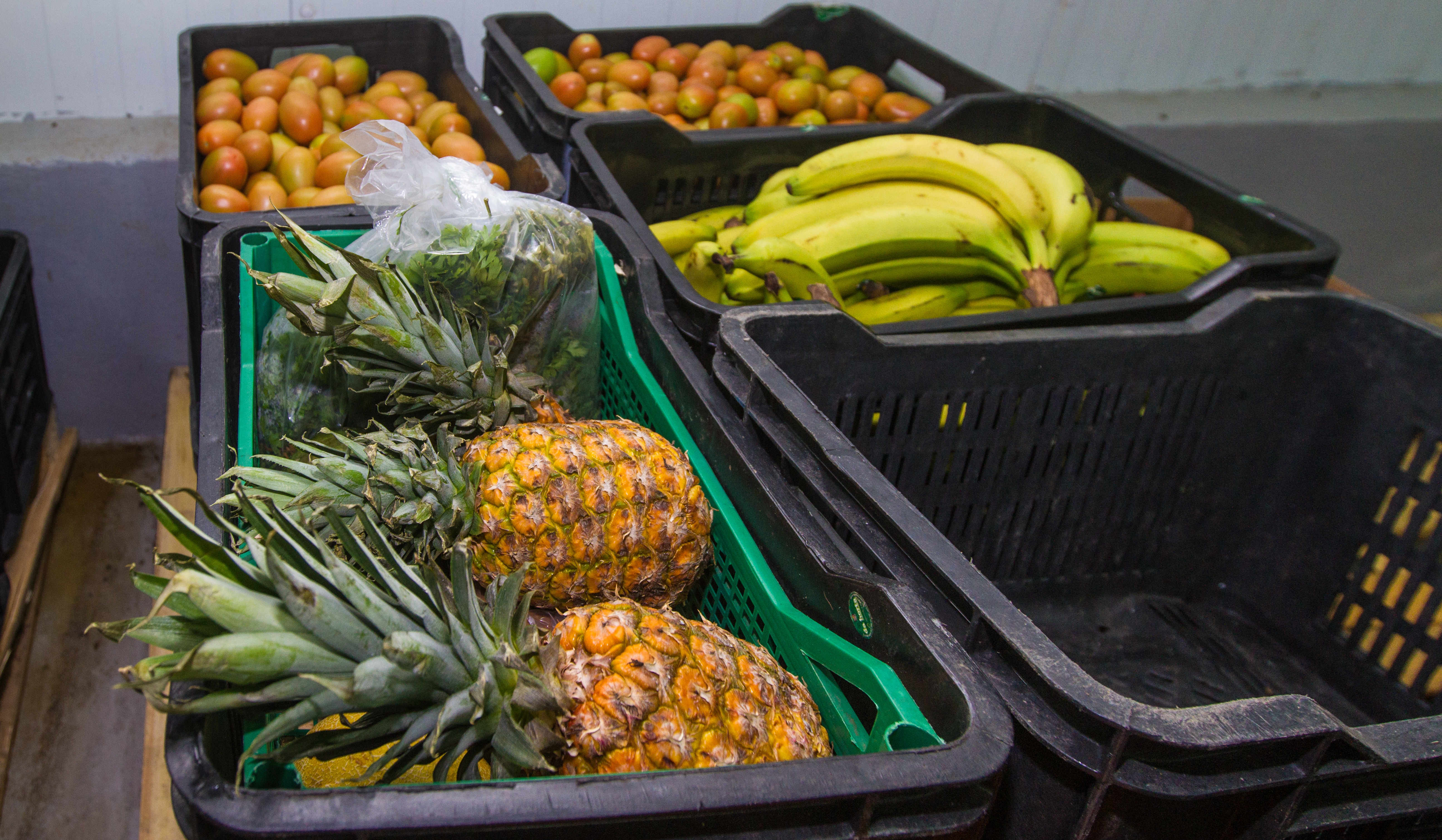 Rosex Gallery — refrigerated truck